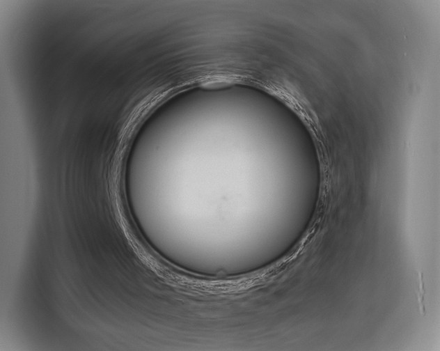 X0000115840001200911201602