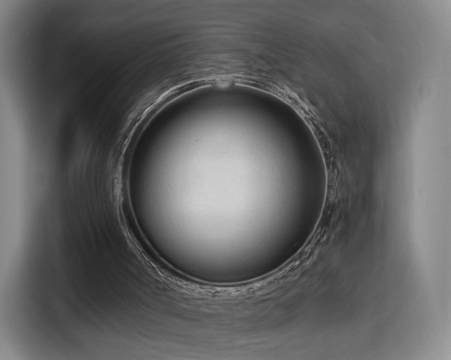 X0000115840002200911201602