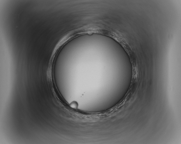 X0000115840004200911201602