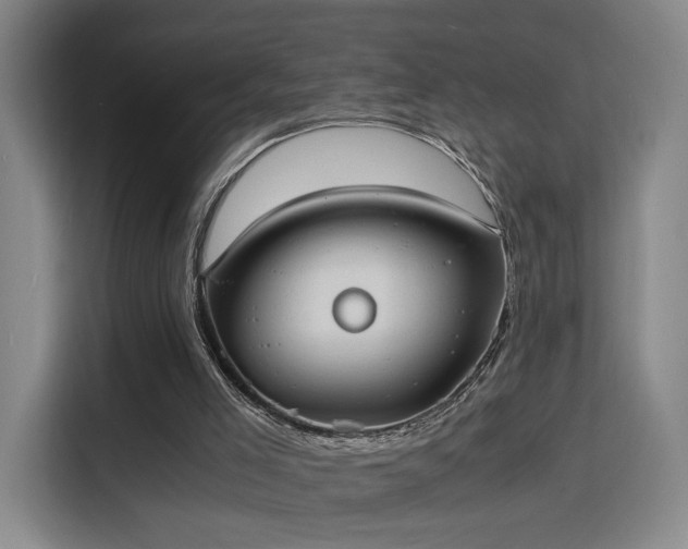 X0000115840005200911201602