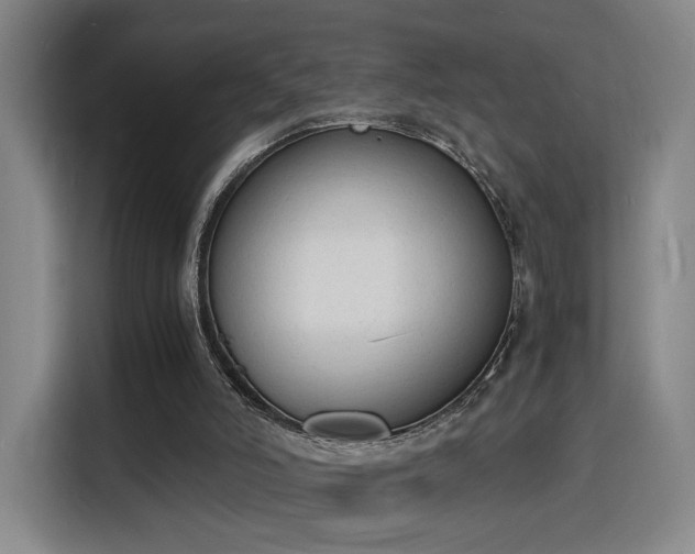 X0000115840006200911201602