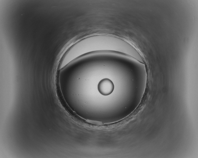 X0000115840007200911201602