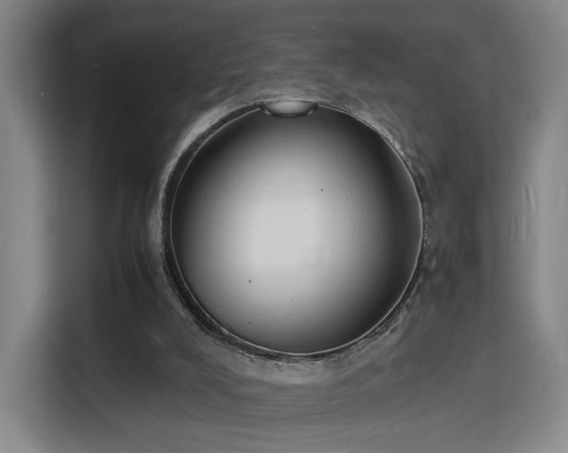 X0000115840008200911201602