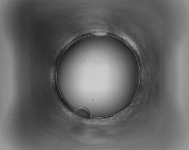 X0000115840009200911201602