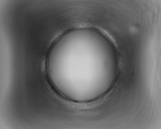 X0000115840010200911201602
