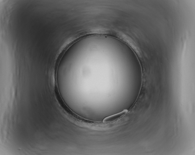 X0000115840011200911201602