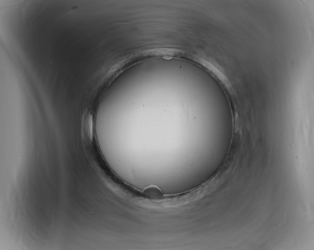 X0000115840013200911201602