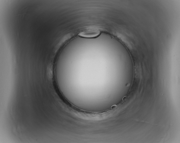 X0000115840015200911201602