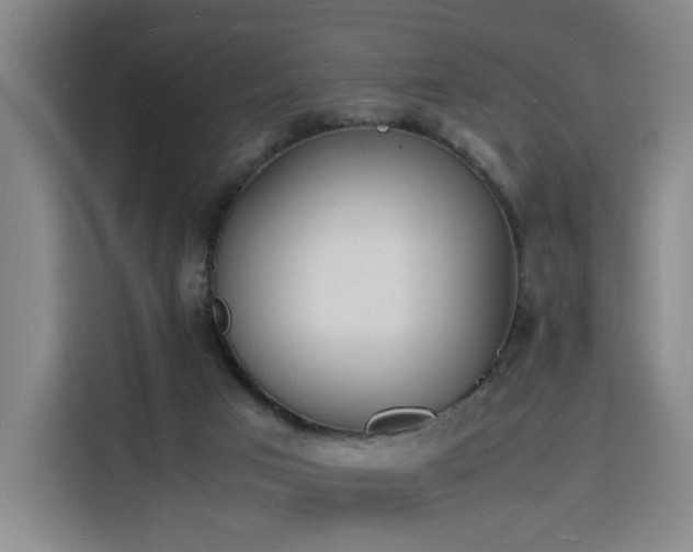 X0000115840017200911201602