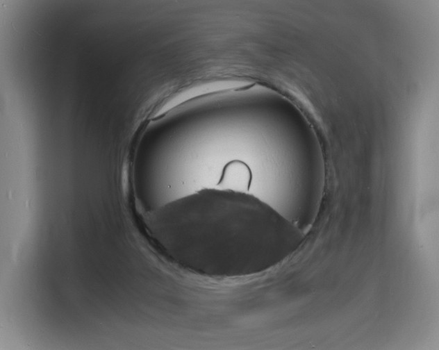 X0000115840019200911201602