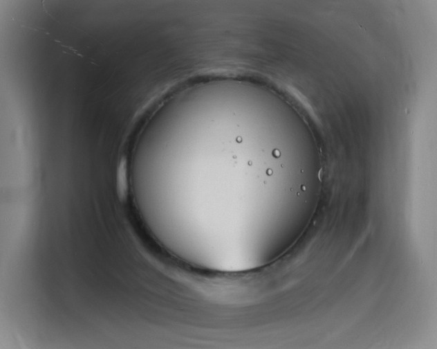 X0000115840020200911201602