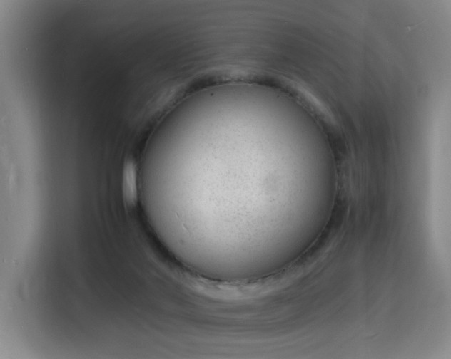 X0000115840022200911201602