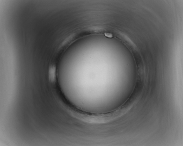 X0000115840024200911201602