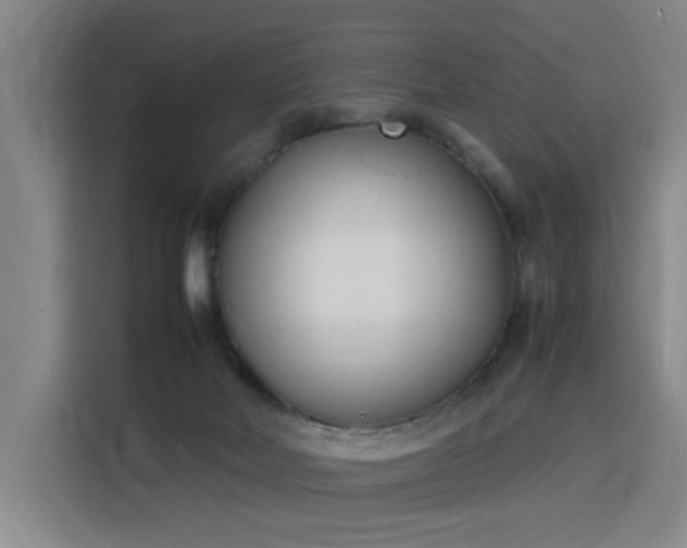 X0000115840026200911201602