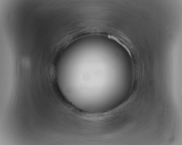 X0000115840029200911201602
