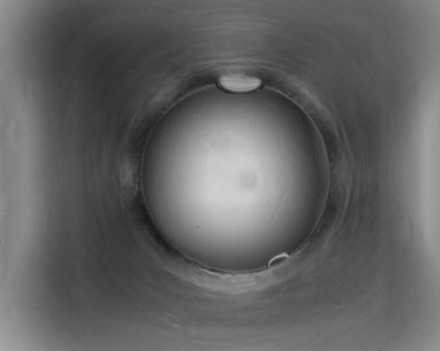 X0000115840031200911201602