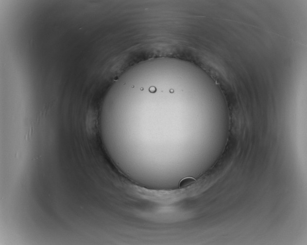 X0000115840034200911201602