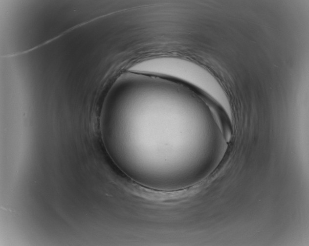 X0000115840035200911201602