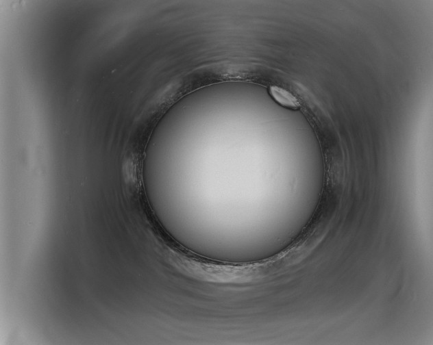 X0000115840044200911201601