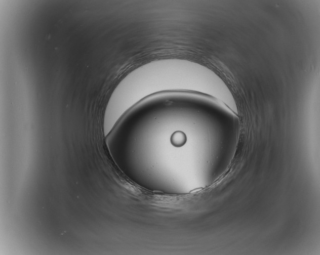 X0000115840045200911201601
