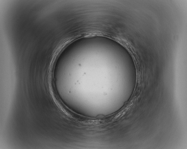 X0000115840049200911201601