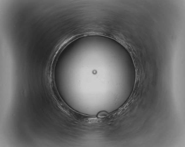 X0000115840050200911201601