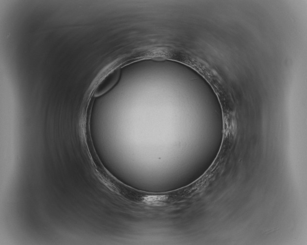 X0000115840051200911201601