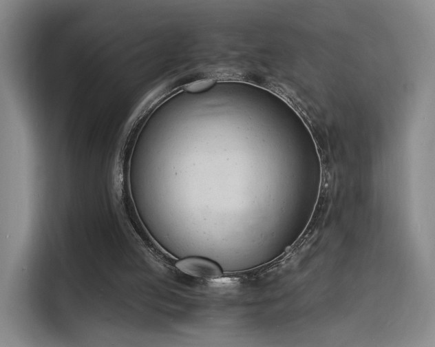 X0000115840053200911201601