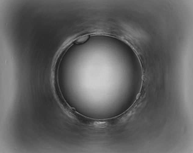 X0000115840055200911201601