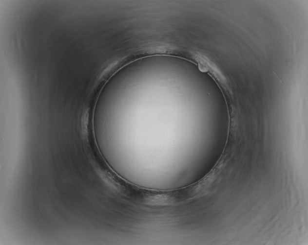 X0000115840058200911201601