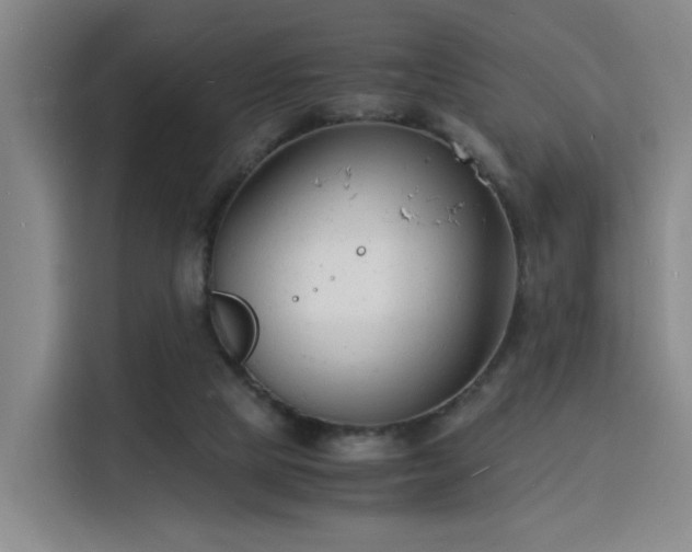 X0000115840065200911201601