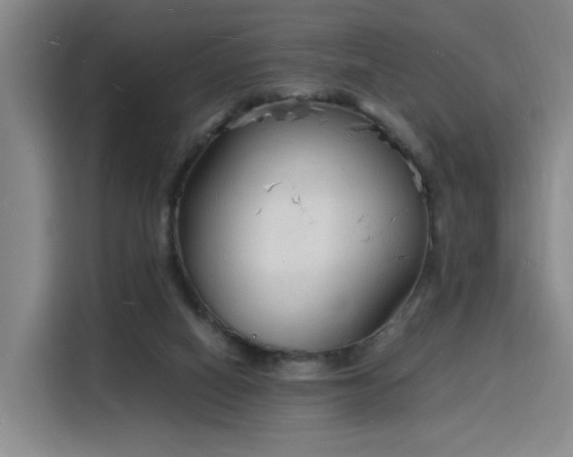 X0000115840066200911201601