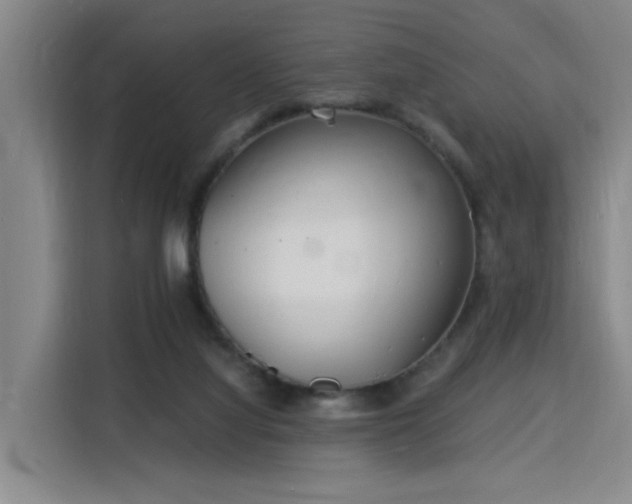 X0000115840068200911201601