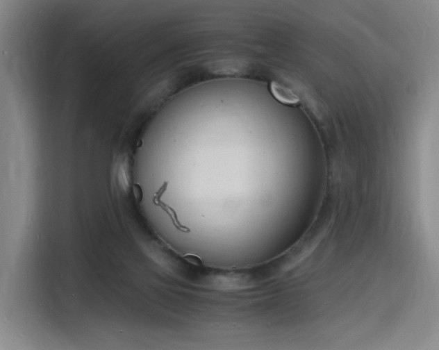 X0000115840069200911201601
