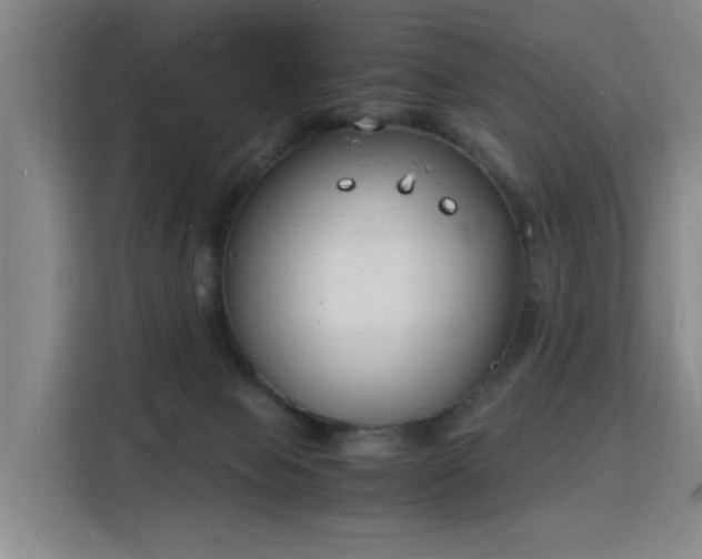 X0000115840077200911201601
