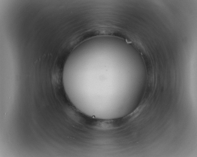 X0000115840078200911201601
