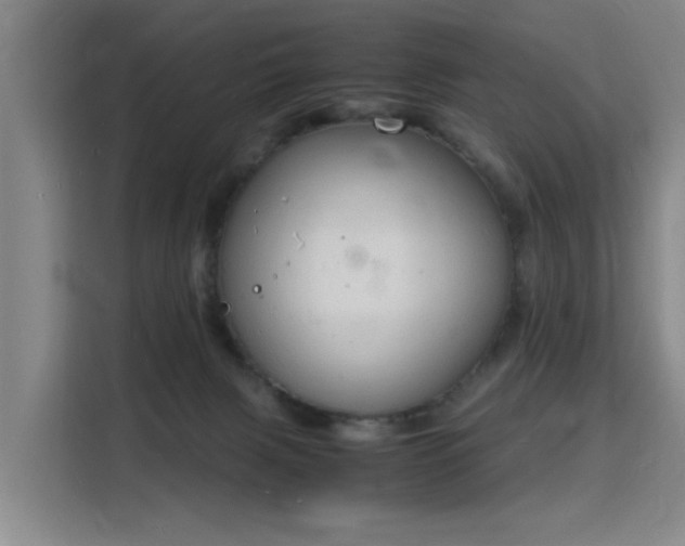 X0000115840079200911201601