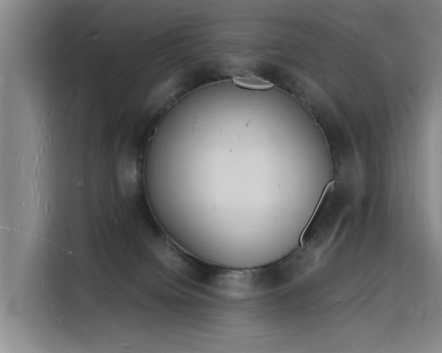 X0000115840084200911201601