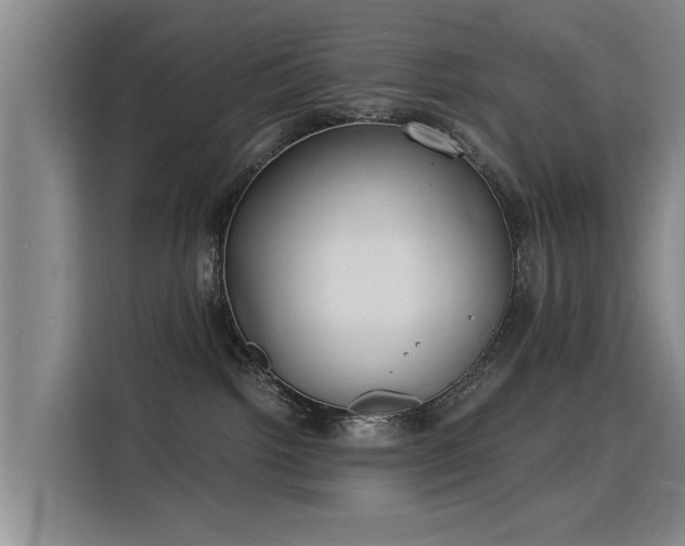 X0000115840092200911201601