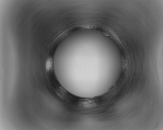 X0000115840095200911201601