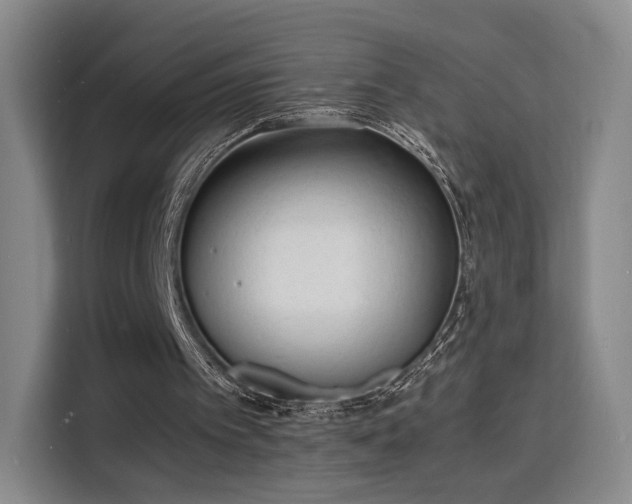 X0000115840097200911201601