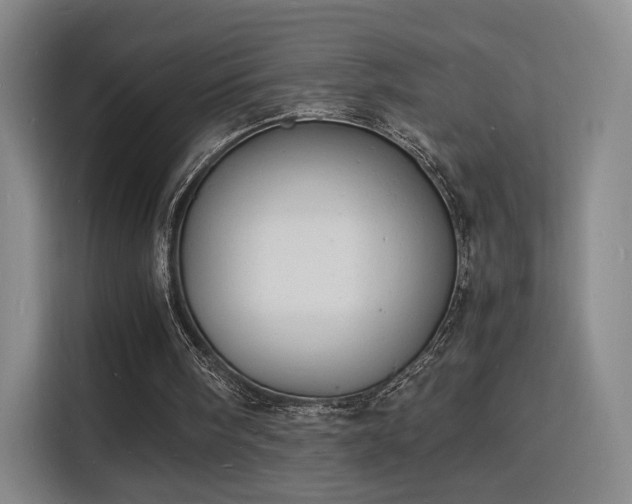 X0000115840098200911201601