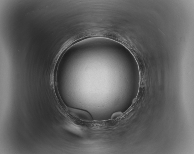 X0000115840099200911201601