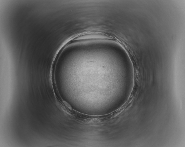 X0000115840100200911201601