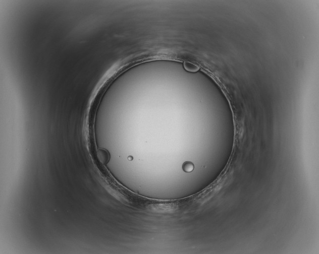 X0000115840102200911201601