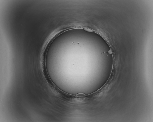 X0000115840103200911201601
