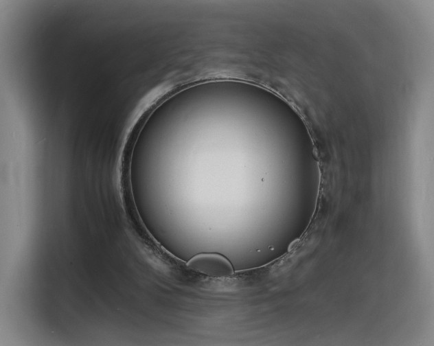 X0000115840104200911201601