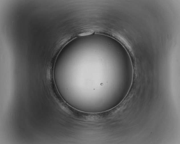 X0000115840105200911201601