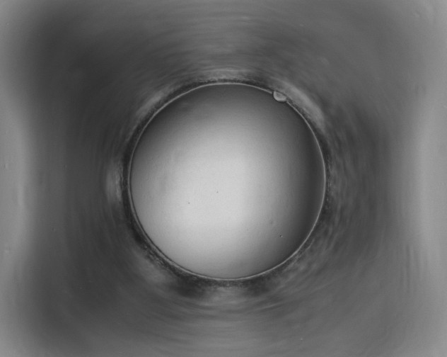 X0000115840107200911201601