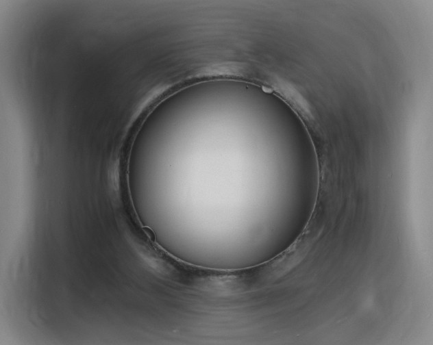 X0000115840108200911201601